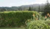 177 Cascade Road, Norfolk Island, NSW 2899-Image