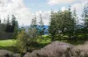 177 Cascade Road, Norfolk Island, NSW 2899-Image