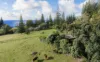 177 Cascade Road, Norfolk Island, NSW 2899-Image