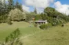 177 Cascade Road, Norfolk Island, NSW 2899-Image