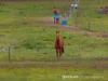 177 Clarendon Station Road, Nile, Tas 7212-Image