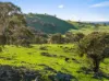 177 Jones Lane, Springrange, NSW 2618-Image