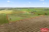 177 Krieg Road, Seppeltsfield, SA 5355-Image