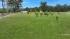 177 Tamboon Road, Cann River, Vic 3890-Image