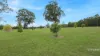 177 Tamboon Road, Cann River, Vic 3890-Image