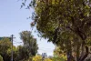 177 Victoria Street, Beaconsfield, NSW 2015-Image