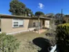 177 Williams Road, Millicent, SA 5280-Image