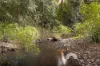 178 Old North Road, Wamuran, Qld 4512-Image