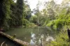 178 Old North Road, Wamuran, Qld 4512-Image
