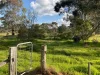 178 River Avenue, Echuca, Vic 3564-Image