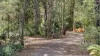 179 Allingham Way, Agnes Water, Qld 4677-Image