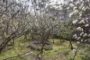 179 Harveys Farm Road, Bicheno, Tas 7215-Image