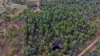 179 Kent Tobin Road, Maroondan, Qld 4671-Image