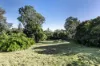 179 Mountain View Road, Greensborough, Vic 3088-Image