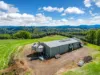1799, Dunoon NSW 2480-Image