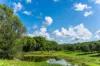 1799, Dunoon NSW 2480-Image