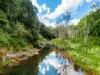 1799, Dunoon NSW 2480-Image