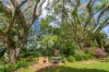 1799, Dunoon NSW 2480-Image