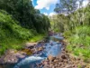 1799, Dunoon NSW 2480-Image