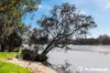 17A Constance Street, Bayswater, WA 6053-Image
