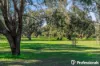 17A Constance Street, Bayswater, WA 6053-Image