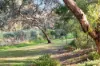 17a Harrow Road, Kidman Park, SA 5025-Image