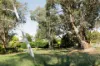 17B Boote Street, Spence, ACT 2615-Image
