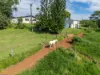 18-20 Robertson Road, Utchee Creek, Qld 4871-Image