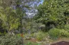 18/3197 Princes Highway, Pambula, NSW 2549-Image