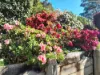 18 Angophora Place, Catalina, NSW 2536-Image
