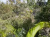 18 Aspect Terrace, Springfield Lakes, Qld 4300-Image
