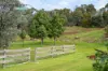 18 Barton Drive, Baranduda, Vic 3691-Image