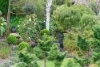 18 Bon Street, Lobethal, SA 5241-Image