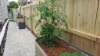18 Bouvardia Street, Russell Lea, NSW 2046-Image