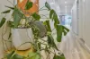 18 Burke Road, Burnside Heights, Vic 3023-Image
