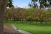 18 Candy Road, Happy Valley, SA 5159-Image