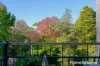 18 Carnarvon Road, Roseville, NSW 2069-Image