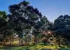 18 Charolais Trail, Lower Chittering, WA 6084-Image
