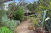 18 Chenier Street, Rye, Vic 3941-Image