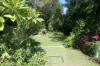 18 Clarence Street, Bonalbo, NSW 2469-Image