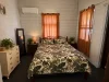 18 Deane Street, Charters Towers City, Qld 4820-Image
