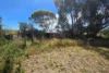 18 Devon Terrace, Pinnaroo, SA 5304-Image