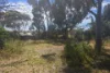 18 Devon Terrace, Pinnaroo, SA 5304-Image