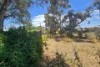18 Devon Terrace, Pinnaroo, SA 5304-Image