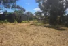 18 Devon Terrace, Pinnaroo, SA 5304-Image