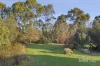 18 Ebden Street, Carlsruhe, Vic 3442-Image