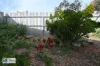 18 Elder Terrace, Hawker, SA 5434-Image