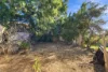 18 Elizabeth Street, Geraldton, WA 6530-Image