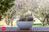 18 Essendon Road, Bungendore, NSW 2621-Image