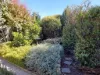 18 Estuary View, Shearwater, Tas 7307-Image
